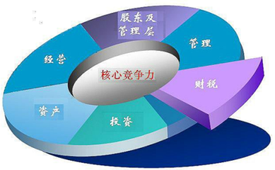 上海市中小企業發展服務中心丁才慶副主任一行蒞臨春雷所指導工作